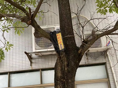 荔湾验收白蚁机构城市园林中白蚁怎么防治