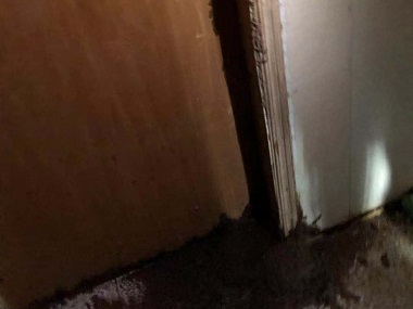 增城白蚁预防机构住宅防白蚁，这几步千万不能少！