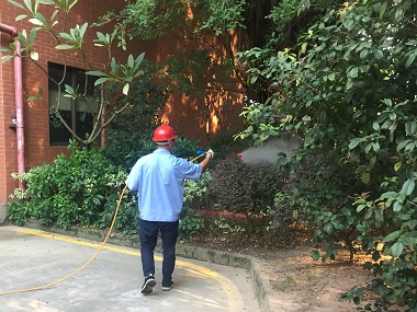 番禺控制蚊虫中心夏日小区防蚊消杀指南